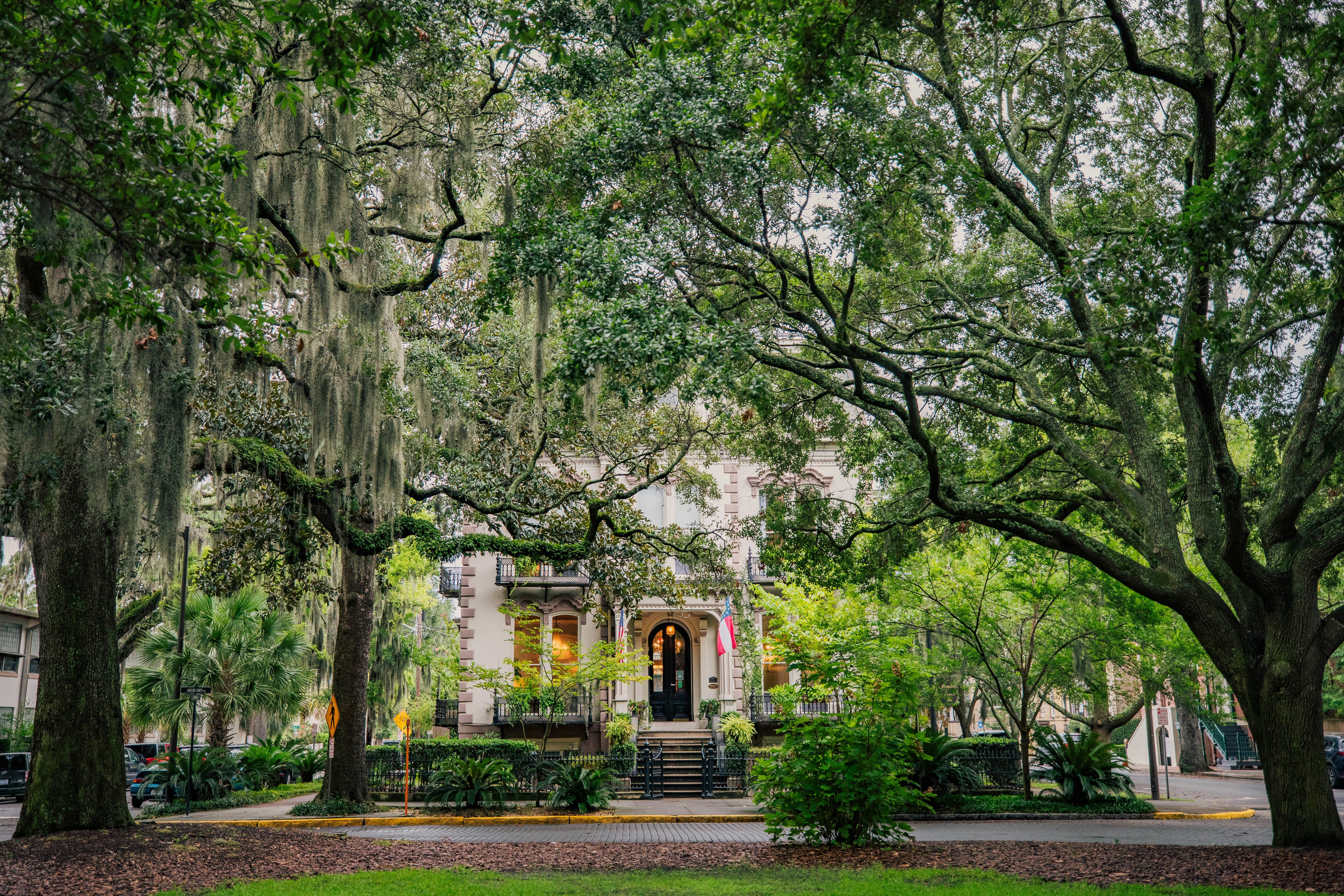 Savannah location artwork